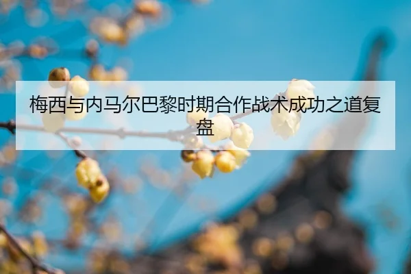 img_1787984311810_167_1_951.jpg