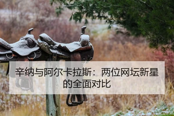 辛纳与阿尔卡拉斯：两位网坛新星的全面对比